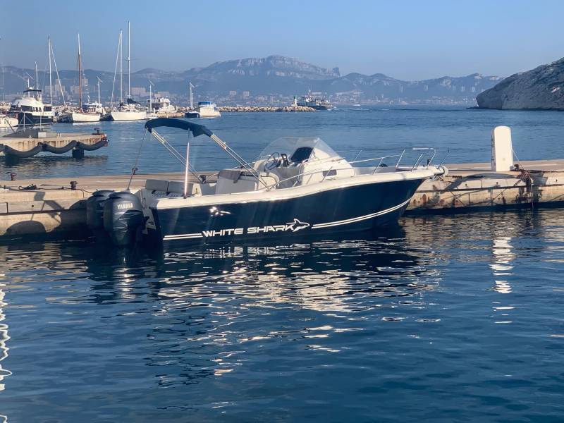 Vente de bateau occasion : Kelt White Shark 268 Sun Deck / bi-motorisation Yamaha 150CV