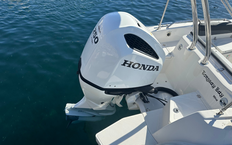 GRAND GOLDEN LINE G750