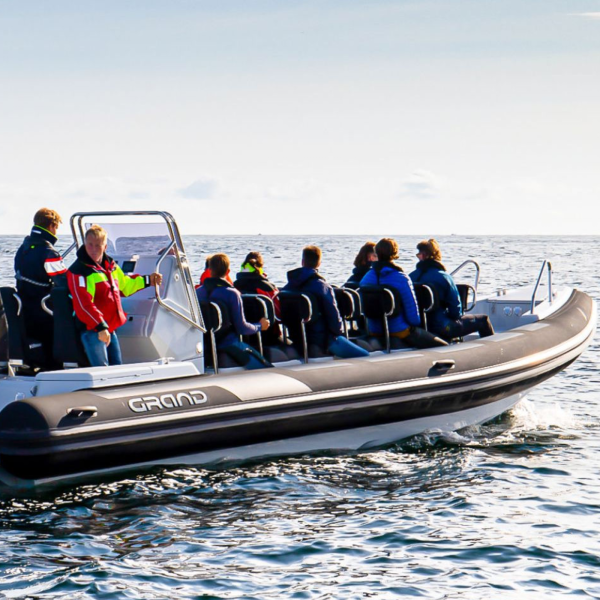 Drive Line D950 Drive