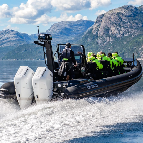 Drive Line D950 Drive